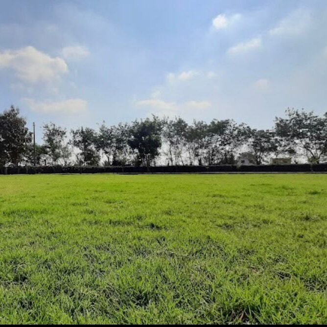 whatsapp image 2025 09 28 at 00.20.39 019c6734